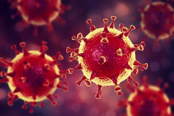 Bild_virus